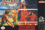 Dig & Spike Volleyball Box Art Front